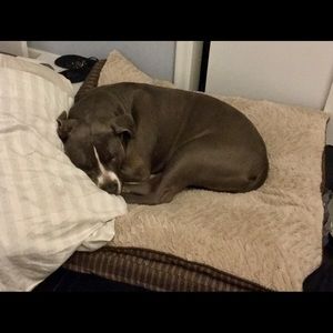 Meet your Posher, Harlow